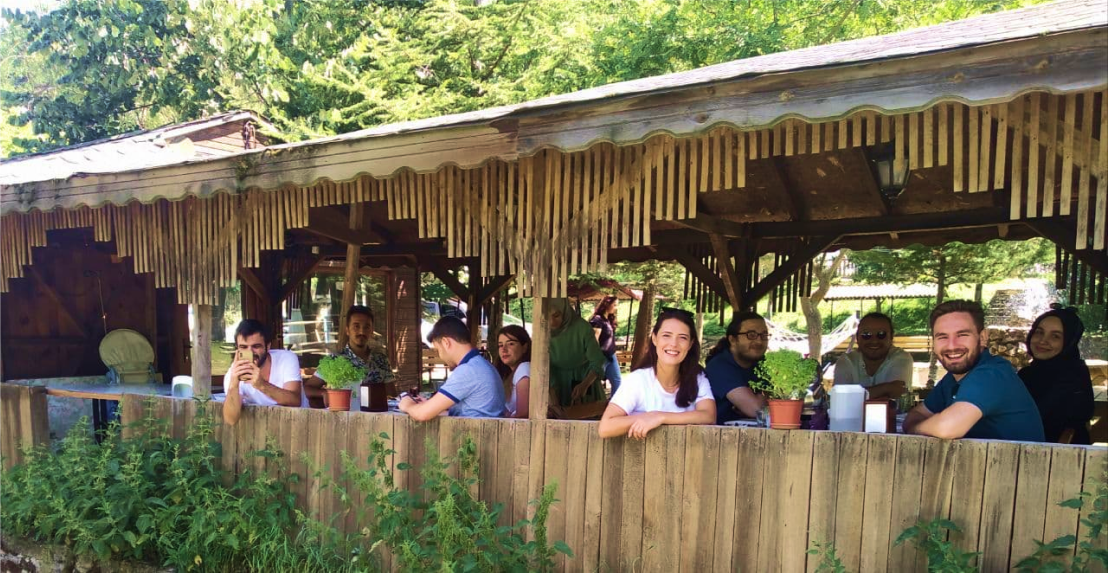 Pro team with nice culture