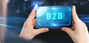 B2B Vendor Management System